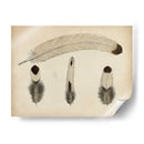 Plumas Vintage V | Cuadro decorativo de Canvas Lab
