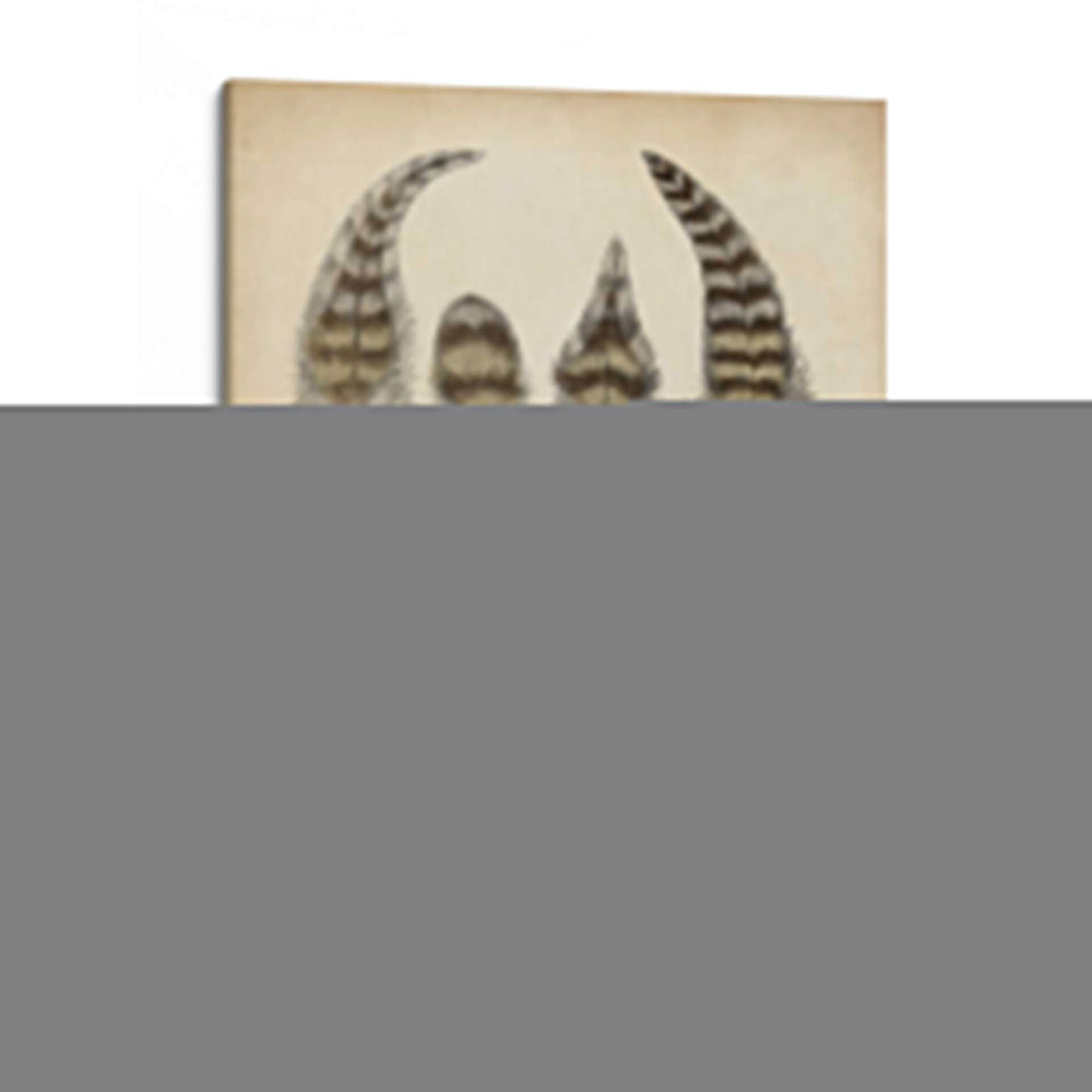 Plumas Vintage I | Cuadro decorativo de Canvas Lab