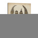 Plumas Vintage I | Cuadro decorativo de Canvas Lab