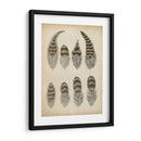 Plumas Vintage I | Cuadro decorativo de Canvas Lab