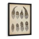 Plumas Vintage I | Cuadro decorativo de Canvas Lab