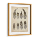 Plumas Vintage I | Cuadro decorativo de Canvas Lab