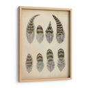 Plumas Vintage I | Cuadro decorativo de Canvas Lab