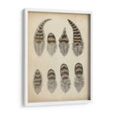 Plumas Vintage I | Cuadro decorativo de Canvas Lab