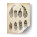 Plumas Vintage I | Cuadro decorativo de Canvas Lab