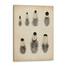 Plumas Vintage Ii | Cuadro decorativo de Canvas Lab