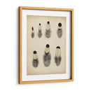 Plumas Vintage Ii | Cuadro decorativo de Canvas Lab