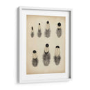 Plumas Vintage Ii | Cuadro decorativo de Canvas Lab