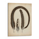 Plumas Vintage Iii | Cuadro decorativo de Canvas Lab