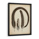 Plumas Vintage Iii | Cuadro decorativo de Canvas Lab