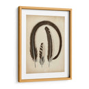 Plumas Vintage Iii | Cuadro decorativo de Canvas Lab
