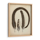 Plumas Vintage Iii | Cuadro decorativo de Canvas Lab
