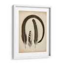 Plumas Vintage Iii | Cuadro decorativo de Canvas Lab