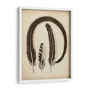 Plumas Vintage Iii | Cuadro decorativo de Canvas Lab