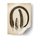 Plumas Vintage Iii | Cuadro decorativo de Canvas Lab