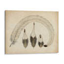 Plumas Vintage Iv | Cuadro decorativo de Canvas Lab