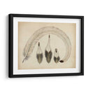 Plumas Vintage Iv | Cuadro decorativo de Canvas Lab