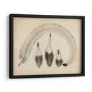 Plumas Vintage Iv | Cuadro decorativo de Canvas Lab