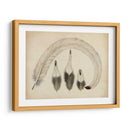 Plumas Vintage Iv | Cuadro decorativo de Canvas Lab