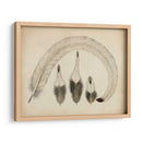 Plumas Vintage Iv | Cuadro decorativo de Canvas Lab