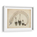 Plumas Vintage Iv | Cuadro decorativo de Canvas Lab