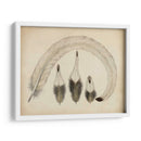 Plumas Vintage Iv | Cuadro decorativo de Canvas Lab