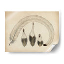 Plumas Vintage Iv | Cuadro decorativo de Canvas Lab