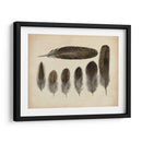 Plumas Vintage Vi | Cuadro decorativo de Canvas Lab