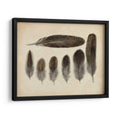 Plumas Vintage Vi | Cuadro decorativo de Canvas Lab