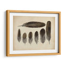 Plumas Vintage Vi | Cuadro decorativo de Canvas Lab