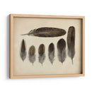 Plumas Vintage Vi | Cuadro decorativo de Canvas Lab