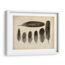 Plumas Vintage Vi | Cuadro decorativo de Canvas Lab