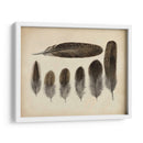 Plumas Vintage Vi | Cuadro decorativo de Canvas Lab