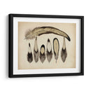 Plumas Vintage Vii | Cuadro decorativo de Canvas Lab