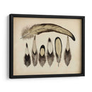 Plumas Vintage Vii | Cuadro decorativo de Canvas Lab