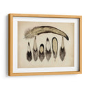 Plumas Vintage Vii | Cuadro decorativo de Canvas Lab
