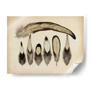 Plumas Vintage Vii | Cuadro decorativo de Canvas Lab