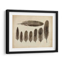 Plumas Vintage Viii | Cuadro decorativo de Canvas Lab