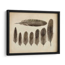 Plumas Vintage Viii | Cuadro decorativo de Canvas Lab
