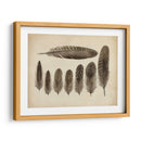 Plumas Vintage Viii | Cuadro decorativo de Canvas Lab