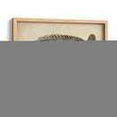 Plumas Vintage Viii | Cuadro decorativo de Canvas Lab