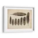 Plumas Vintage Viii | Cuadro decorativo de Canvas Lab