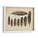 Plumas Vintage Viii | Cuadro decorativo de Canvas Lab