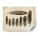 Plumas Vintage Viii | Cuadro decorativo de Canvas Lab