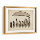 Plumas Vintage Ix | Cuadro decorativo de Canvas Lab