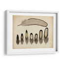 Plumas Vintage Ix | Cuadro decorativo de Canvas Lab