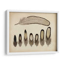Plumas Vintage Ix | Cuadro decorativo de Canvas Lab