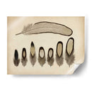 Plumas Vintage Ix | Cuadro decorativo de Canvas Lab