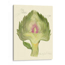 Alcachofa De Globo - Elissa Della-Piana | Cuadro decorativo de Canvas Lab