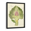 Alcachofa De Globo - Elissa Della-Piana | Cuadro decorativo de Canvas Lab